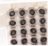 东莞立象—数据采集系统